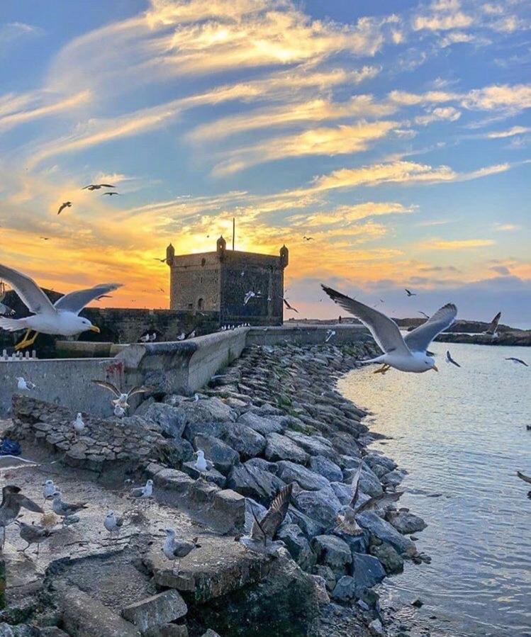 Bh House, Charming Apartment Essaouira Ngoại thất bức ảnh